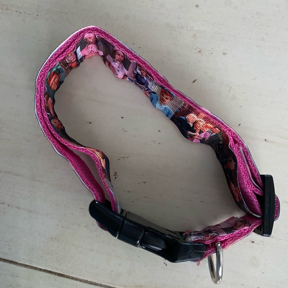 Love lucy ricky 80s dog collar leash set 2pc large pet pink classic comedy show - Picture 5 of 6